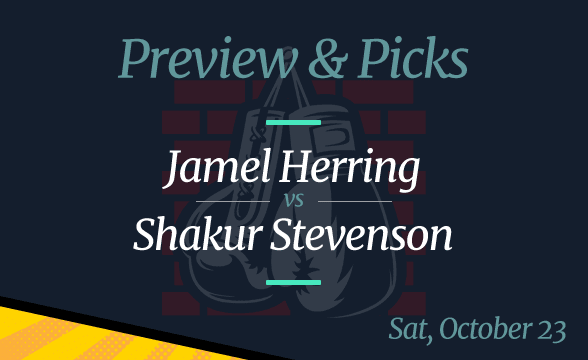 Jamel Herring vs Shakur Stevenson Odds, Picks and Prediction