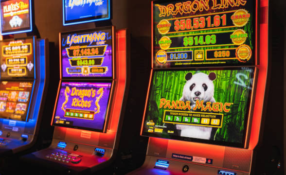 Gambling Harm Regulator Needed as Australians Lose $7.7B on Poker Machines