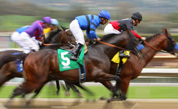 BetMakers Launches Fixed-Odds & Parimutuel Horse Race Bets to New Jersey