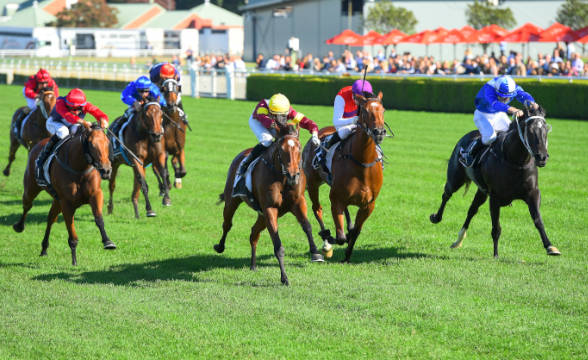 Nebraska Wants More Horse Racetracks to Attract Casinos