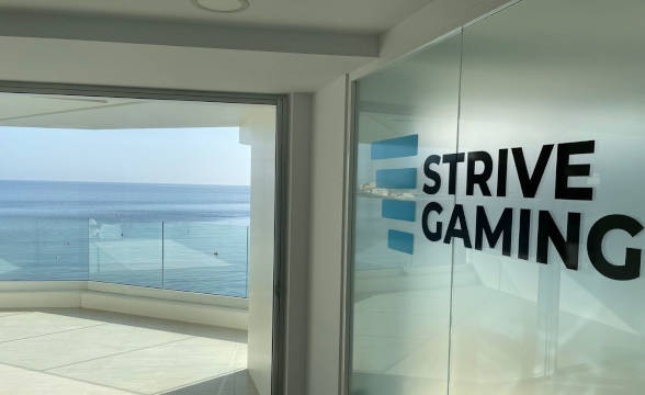 Strive Gaming Brings Andrew Holmes as COO