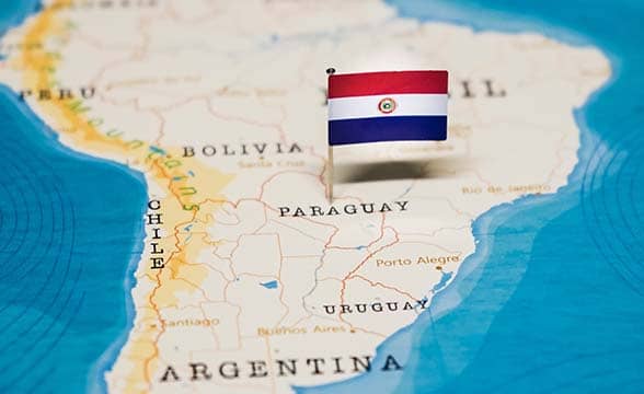 Paraguay’s APOJA Scrutinizes Conajzar for Unclear Tender